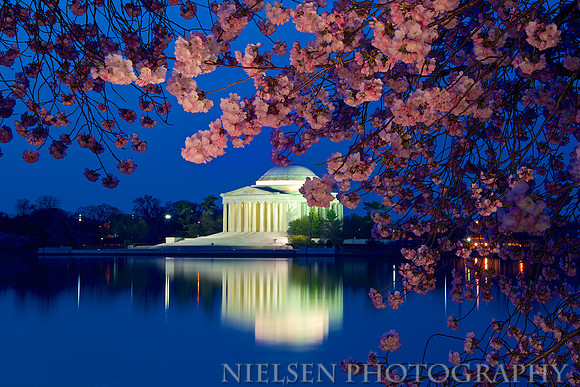 Jefferson Memorial w/ Cherry Blossoms