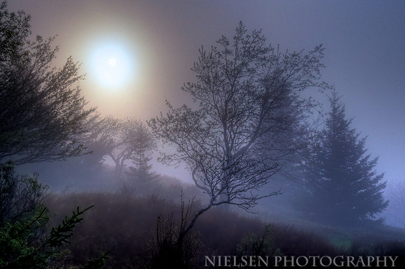 Sunrise thru Fog at Dolly Sods - Monongahela Nat'l Forest
