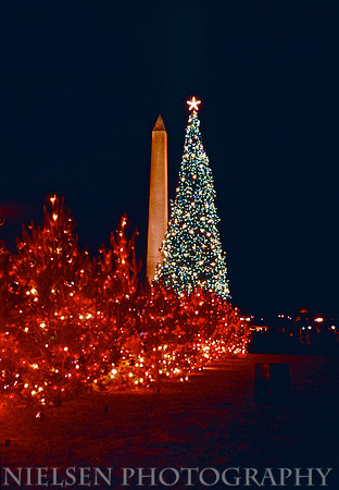 1965