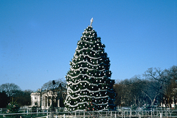 1991
