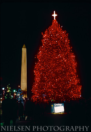 1964