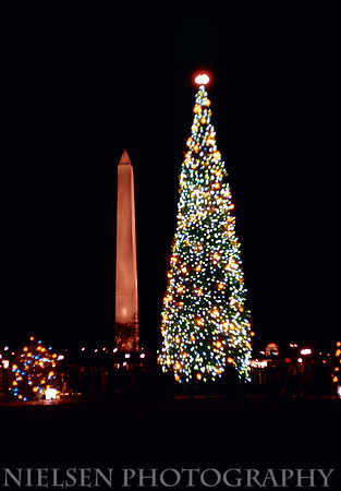 1968
