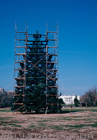 1971