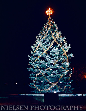1973