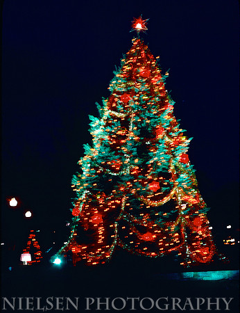 1978