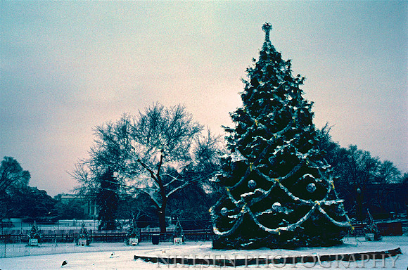1980