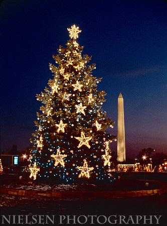 1981