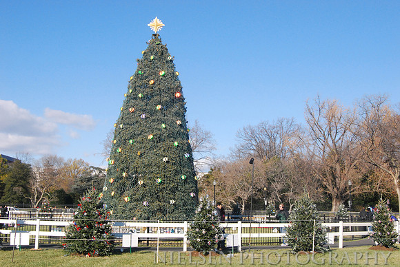 2008