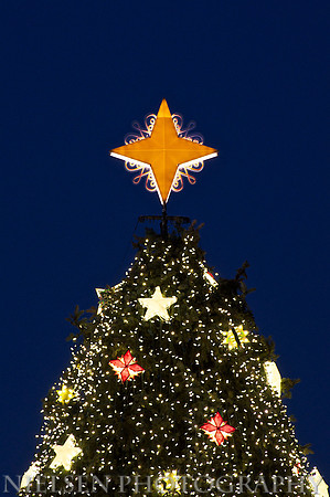 2009