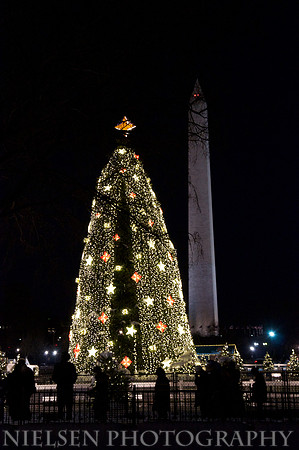 2009