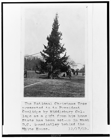 1923 - Original Tree
