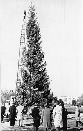 1961