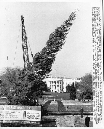 1961