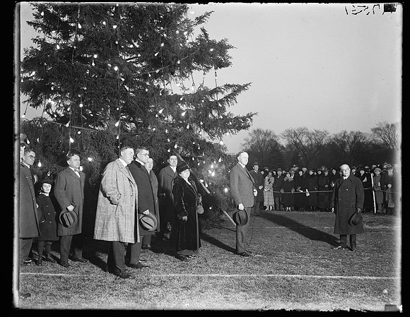 1923 - Original Tree - Library of Congress photo