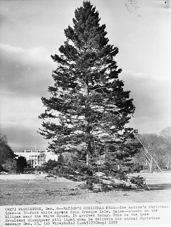 1959