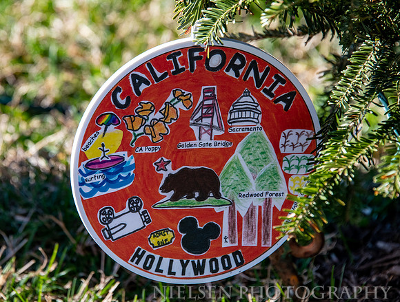 California - 2020