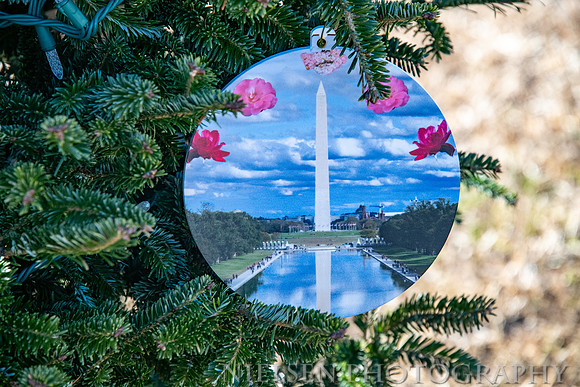 District of Columbia - 2020