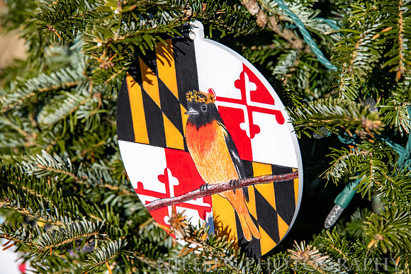 Maryland - 2020