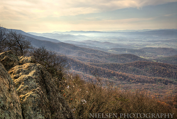 Shenandoah
