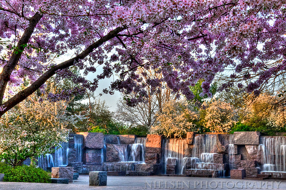 FDR Memorial with Cherry Blossoms