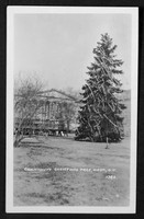 1930 National Christtmas Tree