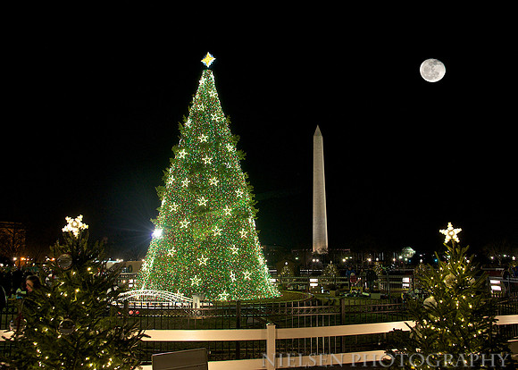 The National Christmas Tree - 2012