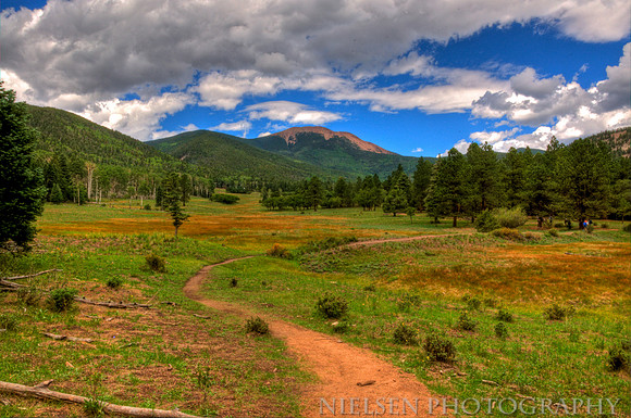 Baldy and the Miranda Meadow