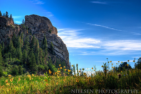 Cathedral Rock