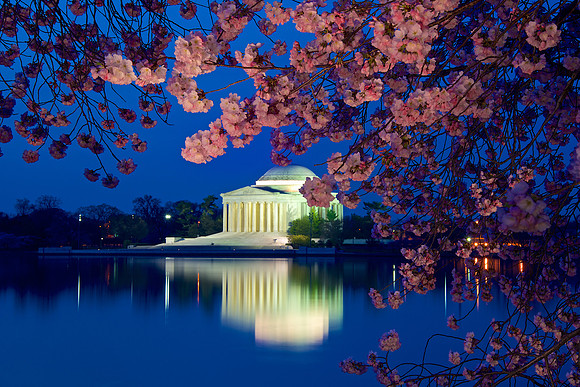 Jefferson Memorial w/ Cherry Blossoms