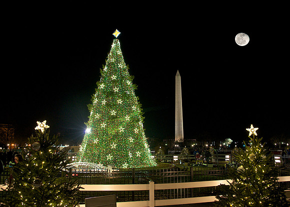 The National Christmas Tree - 2012
