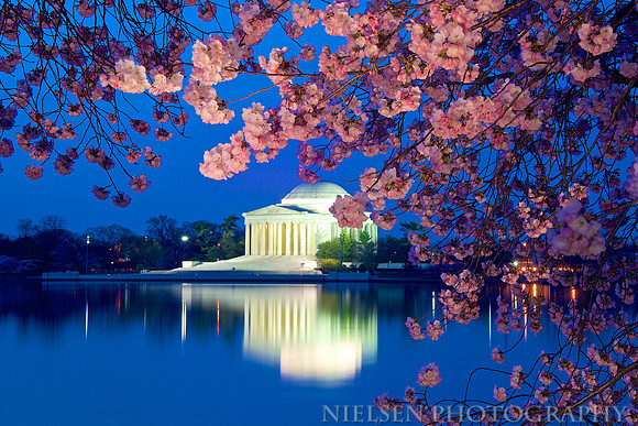 Jefferson Memorial w/ Cherry Blossoms