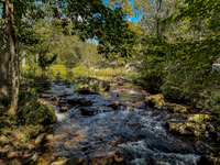Marsden Tract - Billy Goat Trail - Sept 24